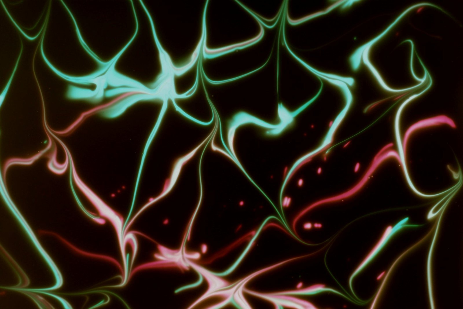 Vibrant abstract light patterns in neon pink and green. Perfect for artistic and creative uses.